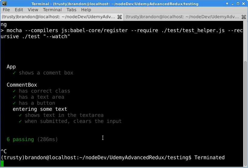 terminal fixed
